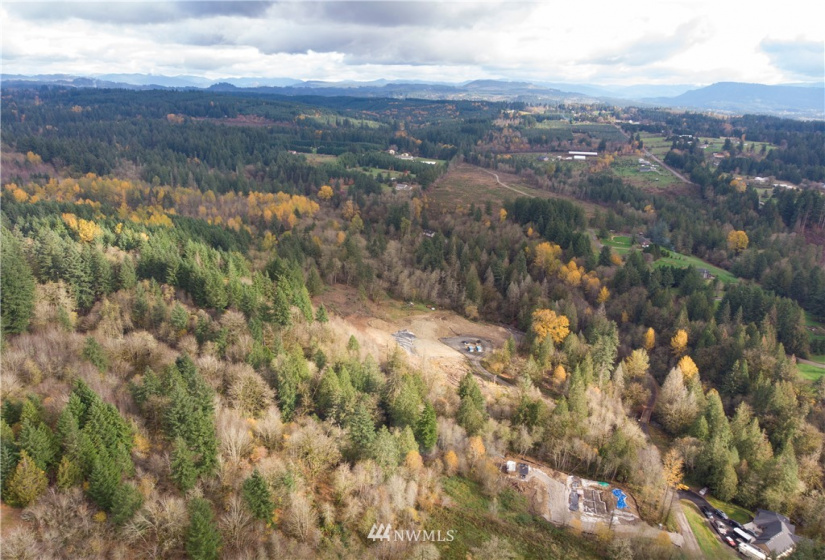 0 316th, La Center, Washington 98629, ,Land,For Sale,316th,NWM1866223