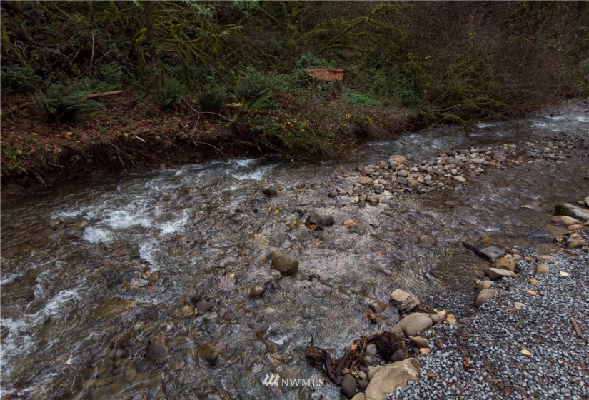 0 316th, La Center, Washington 98629, ,Land,For Sale,316th,NWM1866223