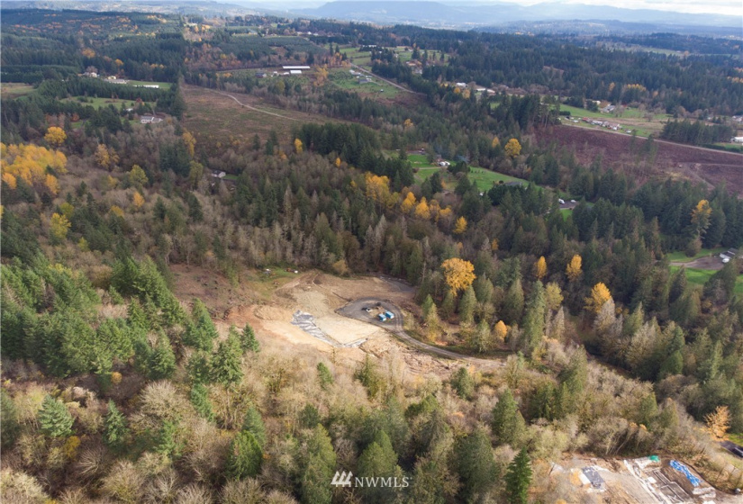 0 316th, La Center, Washington 98629, ,Land,For Sale,316th,NWM1866223
