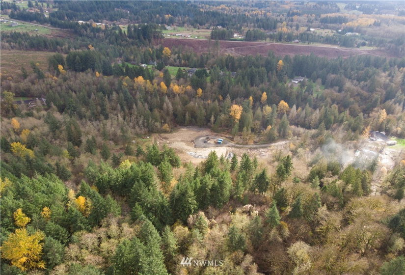 0 316th, La Center, Washington 98629, ,Land,For Sale,316th,NWM1866223