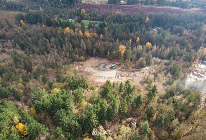 0 316th, La Center, Washington 98629, ,Land,For Sale,316th,NWM1866223