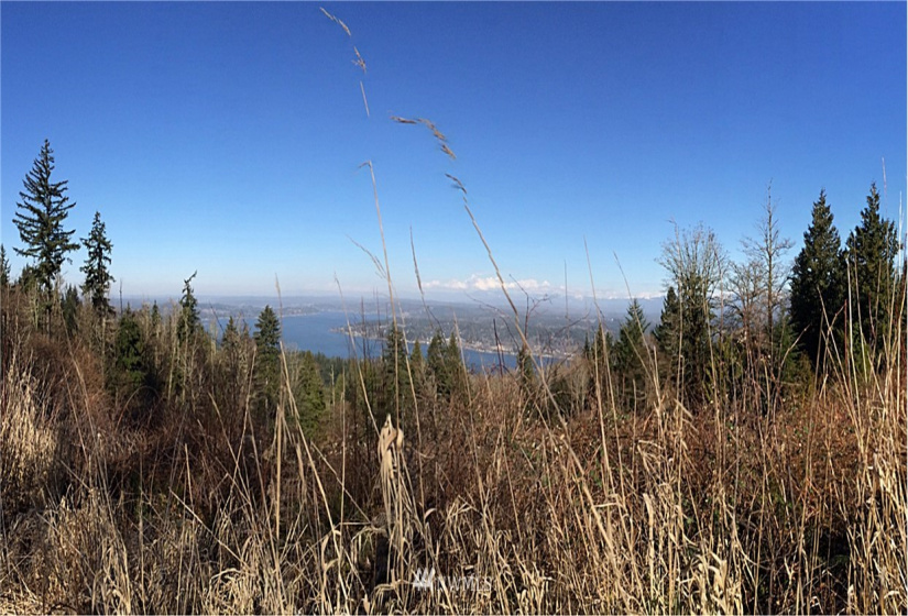 18500 65th, Issaquah, Washington 98027, ,Land,For Sale,65th,NWM1866873