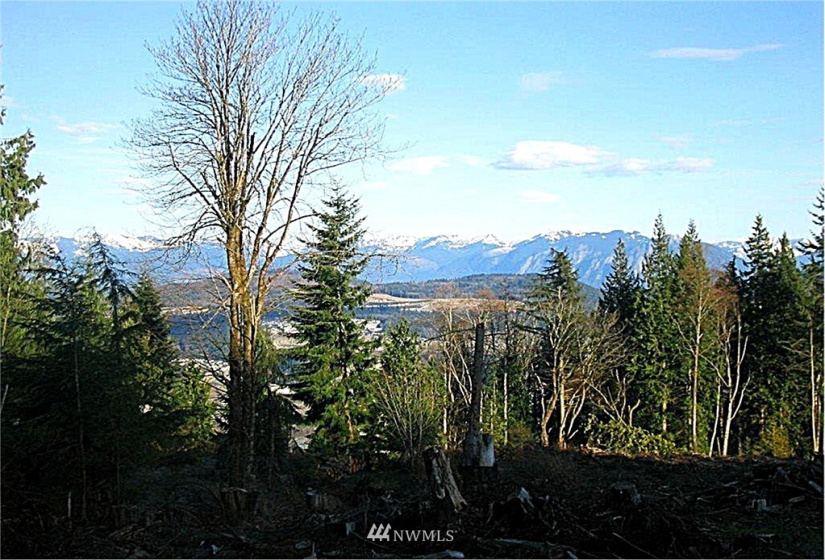18500 65th, Issaquah, Washington 98027, ,Land,For Sale,65th,NWM1866873