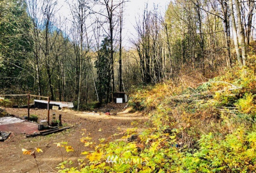 31214 174th, Duvall, Washington 98019, 3 Bedrooms Bedrooms, ,1 BathroomBathrooms,Residential,For Sale,174th,NWM1866937