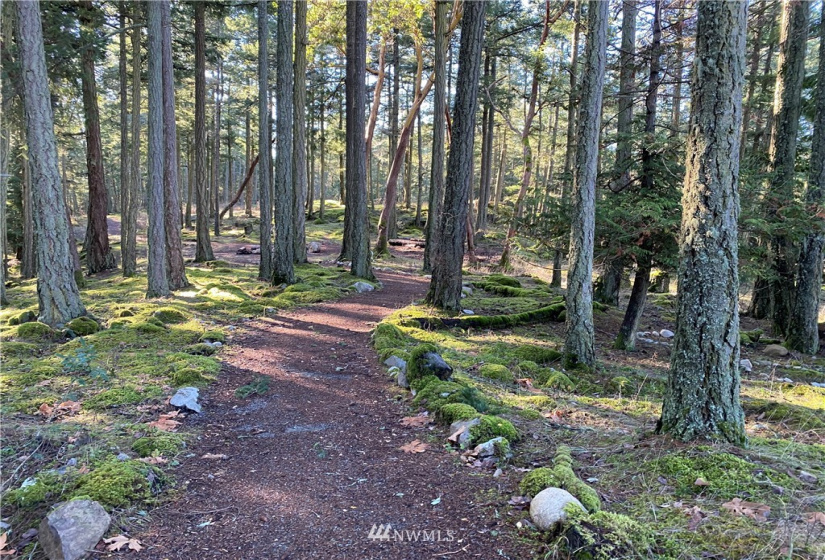 499 Dancing Deer, Orcas Island, Washington 98245, 3 Bedrooms Bedrooms, ,1 BathroomBathrooms,Residential,For Sale,Dancing Deer,NWM1865202