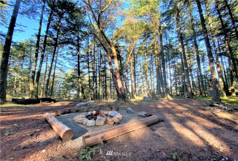 499 Dancing Deer, Orcas Island, Washington 98245, 3 Bedrooms Bedrooms, ,1 BathroomBathrooms,Residential,For Sale,Dancing Deer,NWM1865202