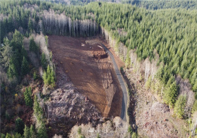 28 Roger, Elma, Washington 98541, ,Land,For Sale,Roger,NWM1867006