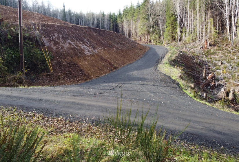 28 Roger, Elma, Washington 98541, ,Land,For Sale,Roger,NWM1867006