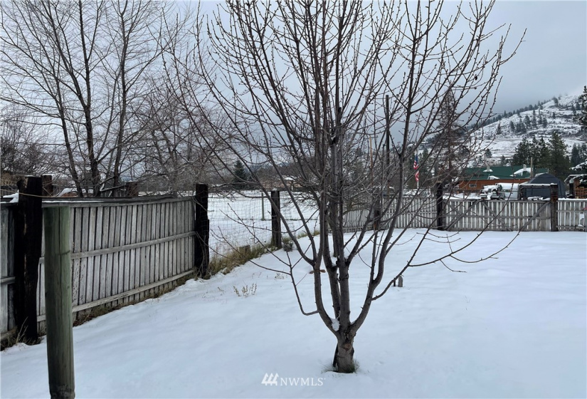 10 Curlew Airport, Curlew, Washington 99118, 3 Bedrooms Bedrooms, ,1 BathroomBathrooms,Residential,For Sale,Curlew Airport,NWM1867076
