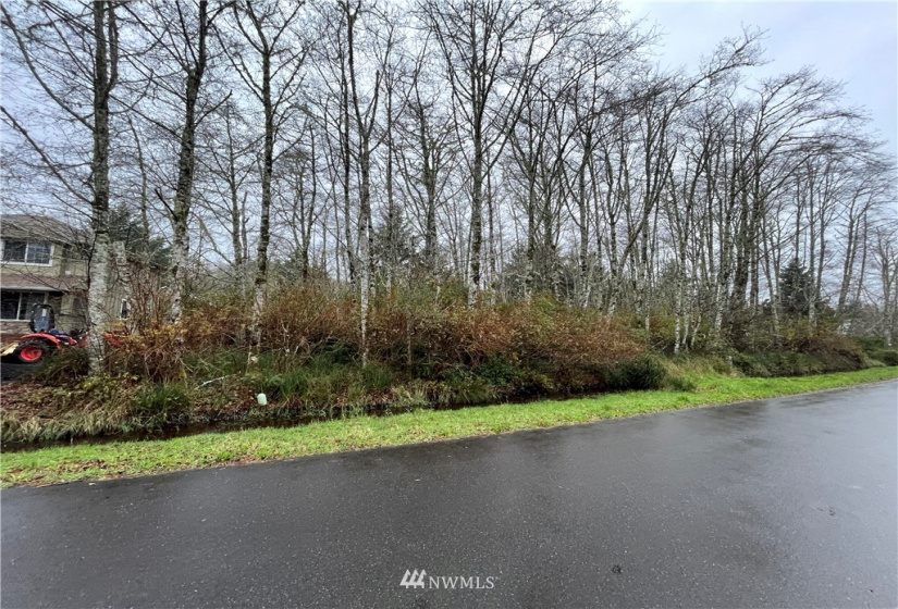 331 Olympic View, Ocean Shores, Washington 98569, ,Land,For Sale,23,Olympic View,NWM1867302