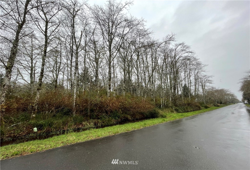 331 Olympic View, Ocean Shores, Washington 98569, ,Land,For Sale,23,Olympic View,NWM1867302