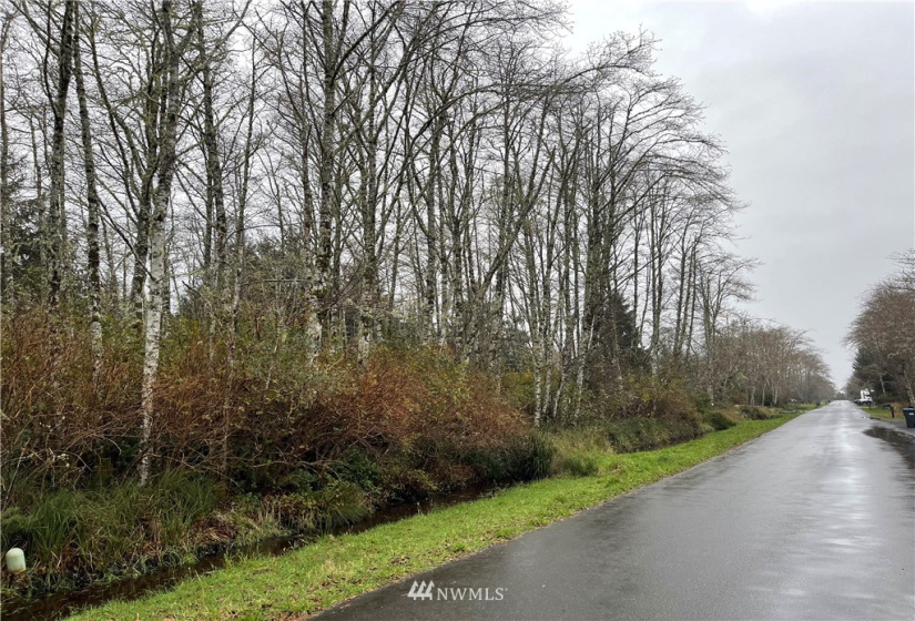 331 Olympic View, Ocean Shores, Washington 98569, ,Land,For Sale,23,Olympic View,NWM1867302