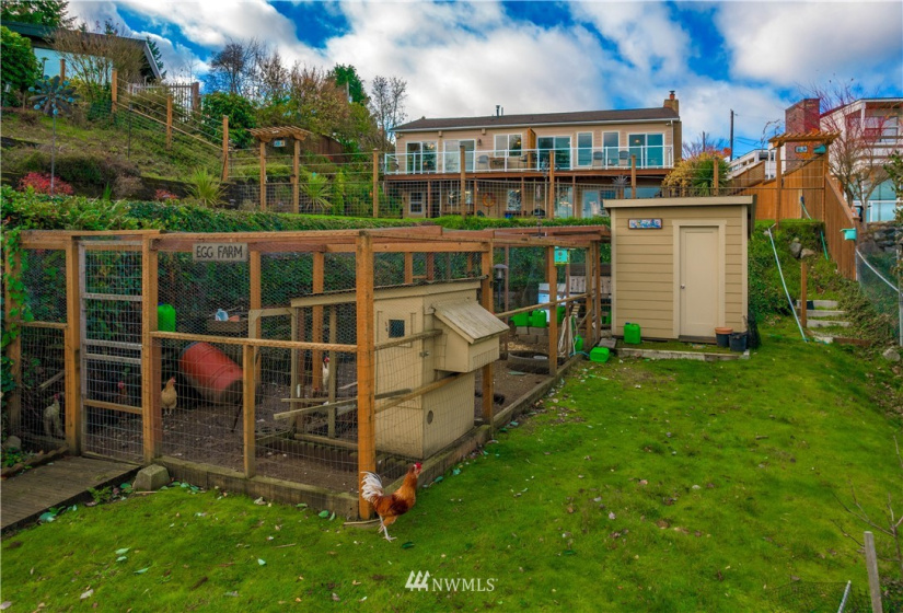 6401 48th, Tacoma, Washington 98407, 5 Bedrooms Bedrooms, ,3 BathroomsBathrooms,Residential,For Sale,48th,NWM1867169