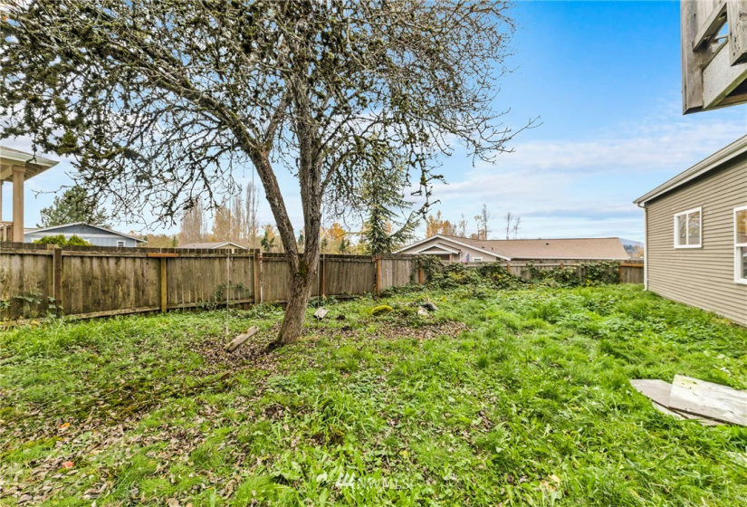 1117 Waugh, Mount Vernon, Washington 98273, 4 Bedrooms Bedrooms, ,2 BathroomsBathrooms,Residential,For Sale,Waugh,NWM1863839