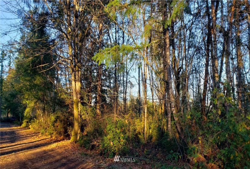 1 XXX 10th, Lakebay, Washington 98359, ,Land,For Sale,10th,NWM1866399