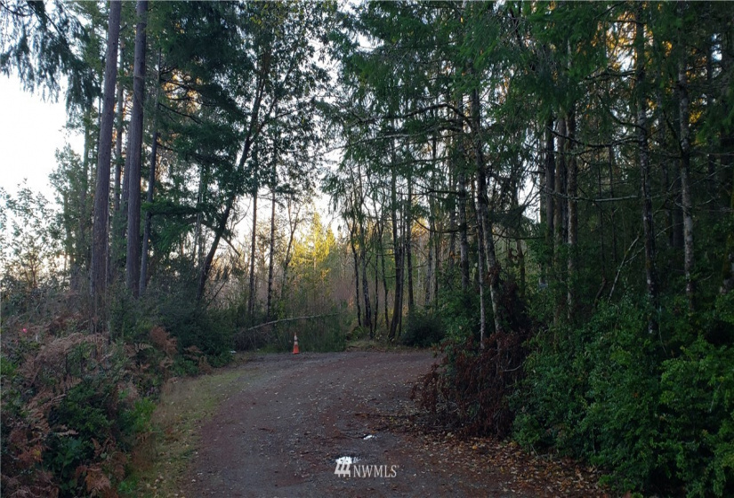 1 XXX 10th, Lakebay, Washington 98359, ,Land,For Sale,10th,NWM1866399