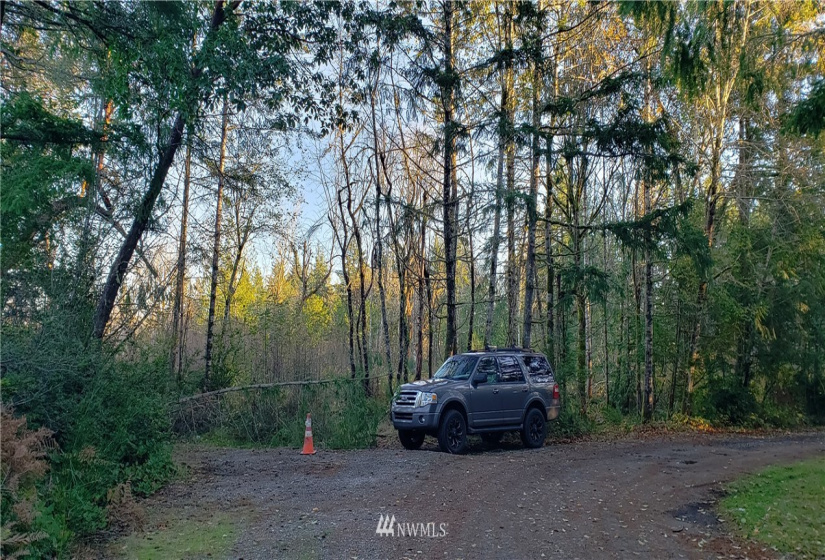 1 XXX 10th, Lakebay, Washington 98359, ,Land,For Sale,10th,NWM1866399
