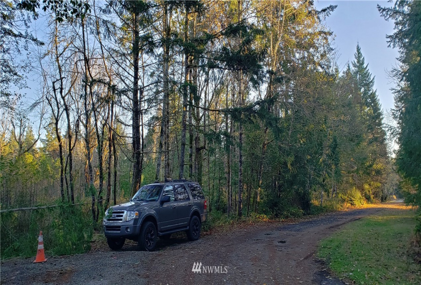 1 XXX 10th, Lakebay, Washington 98359, ,Land,For Sale,10th,NWM1866399