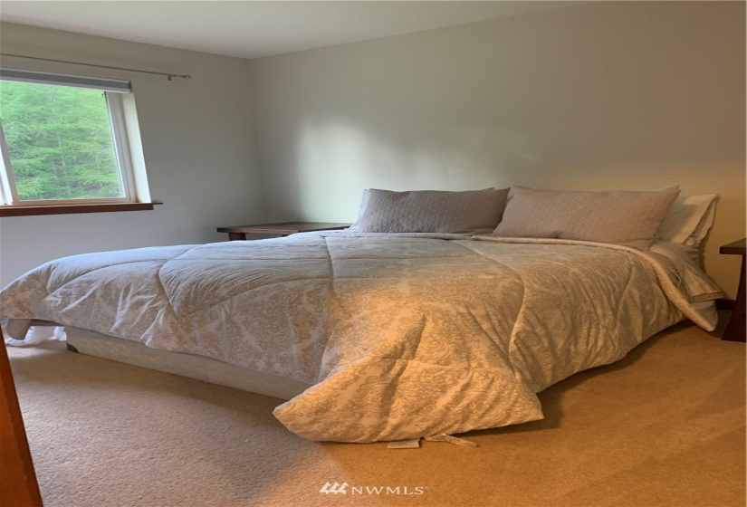 60 Seahawks, Belfair, Washington 98528, 4 Bedrooms Bedrooms, ,2 BathroomsBathrooms,Residential,For Sale,Seahawks,NWM1867351