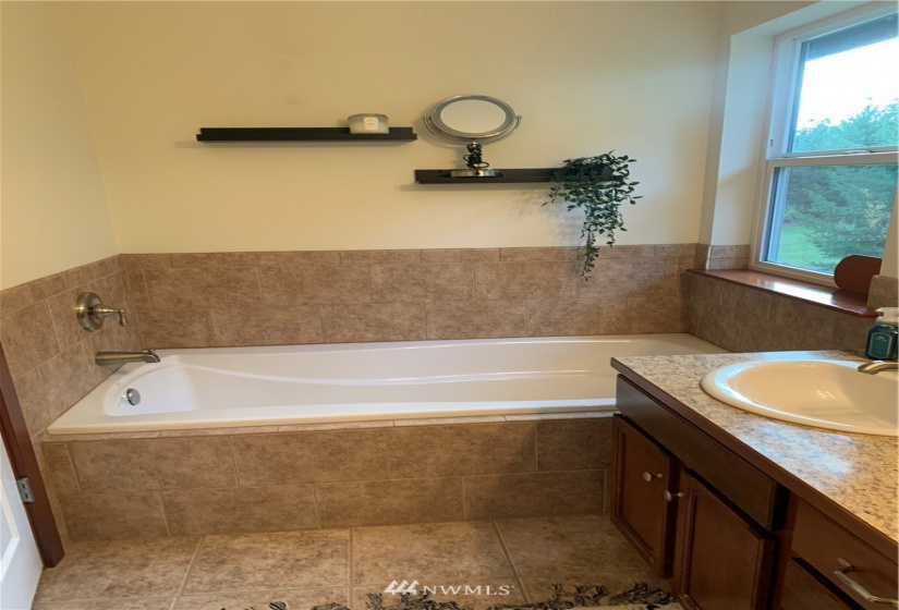 60 Seahawks, Belfair, Washington 98528, 4 Bedrooms Bedrooms, ,2 BathroomsBathrooms,Residential,For Sale,Seahawks,NWM1867351