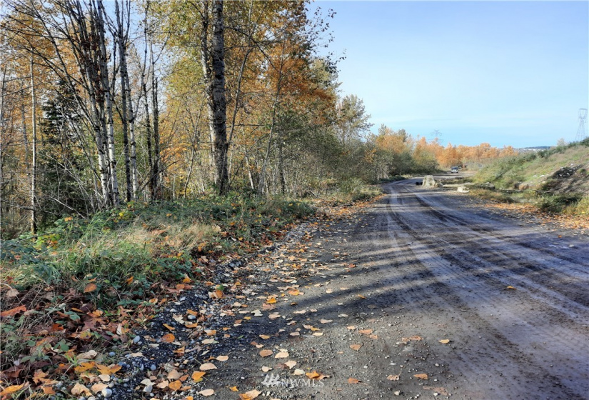 28 XXX Ravensdale-Black Diamond, Black Diamond, Washington 98010, ,Land,For Sale,Ravensdale-Black Diamond,NWM1866948