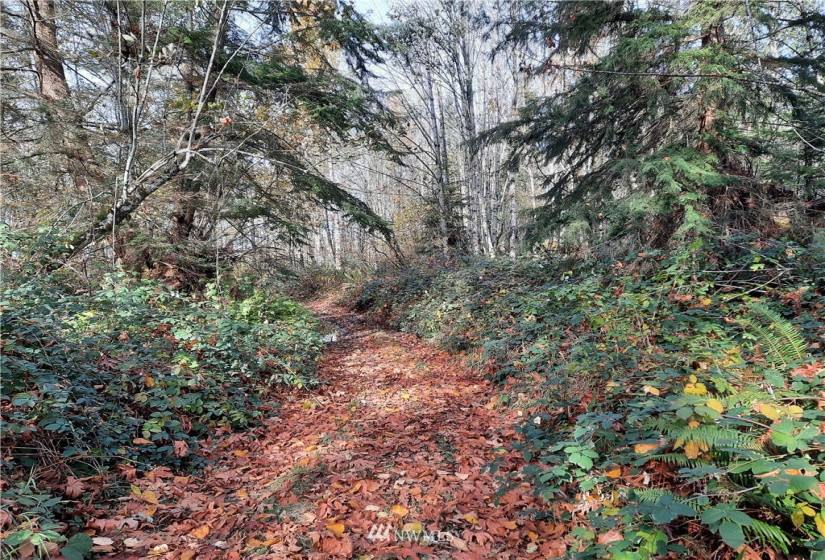 28 XXX Ravensdale-Black Diamond, Black Diamond, Washington 98010, ,Land,For Sale,Ravensdale-Black Diamond,NWM1866948