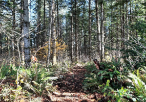 28 XXX Ravensdale-Black Diamond, Black Diamond, Washington 98010, ,Land,For Sale,Ravensdale-Black Diamond,NWM1866948