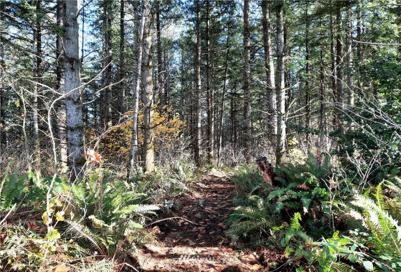 28 XXX Ravensdale-Black Diamond, Black Diamond, Washington 98010, ,Land,For Sale,Ravensdale-Black Diamond,NWM1866948