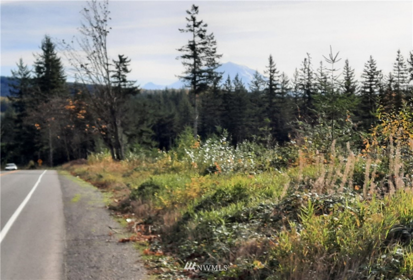 28 XXX Ravensdale-Black Diamond, Black Diamond, Washington 98010, ,Land,For Sale,Ravensdale-Black Diamond,NWM1866948
