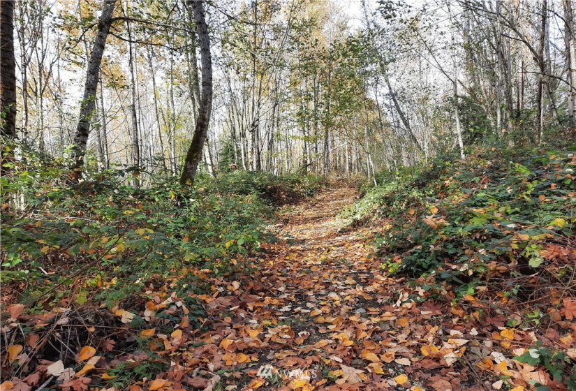 28 XXX Ravensdale-Black Diamond, Black Diamond, Washington 98010, ,Land,For Sale,Ravensdale-Black Diamond,NWM1866948