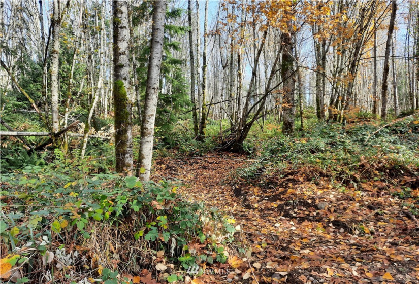 28 XXX Ravensdale-Black Diamond, Black Diamond, Washington 98010, ,Land,For Sale,Ravensdale-Black Diamond,NWM1866948