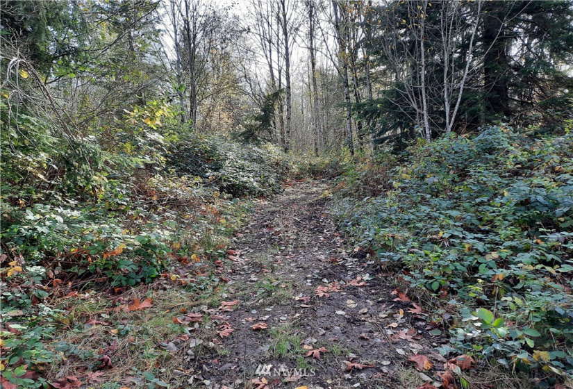 28 XXX Ravensdale-Black Diamond, Black Diamond, Washington 98010, ,Land,For Sale,Ravensdale-Black Diamond,NWM1866948