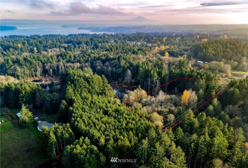 0 Woods, Port Orchard, Washington 98366, ,Land,For Sale,2021-0361,Woods,NWM1866917