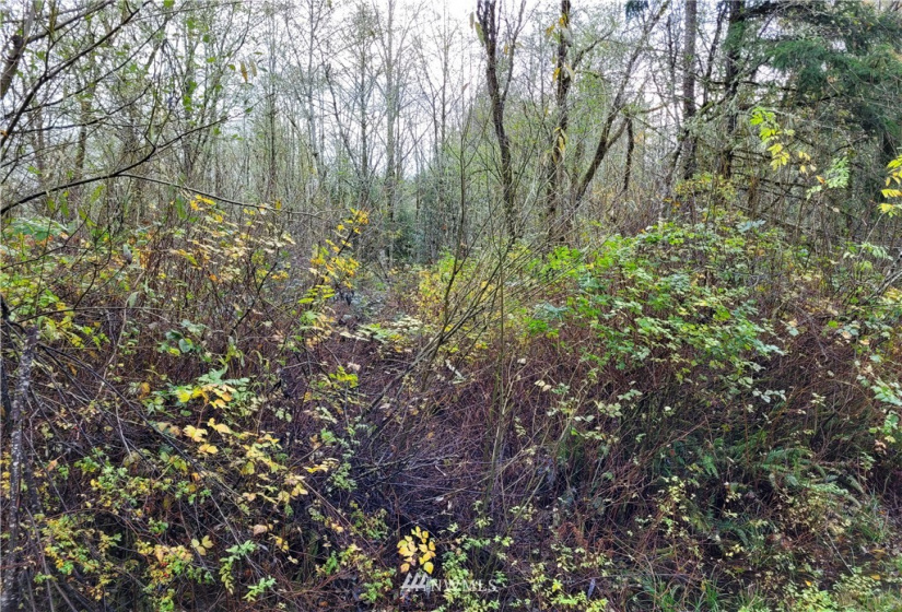 0 Woods, Port Orchard, Washington 98366, ,Land,For Sale,2021-0361,Woods,NWM1866917