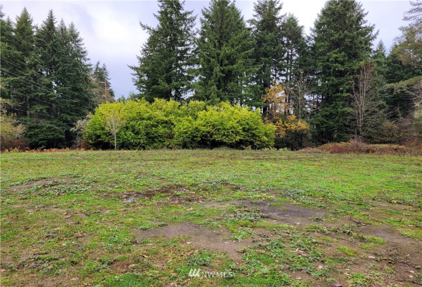 0 Woods, Port Orchard, Washington 98366, ,Land,For Sale,2021-0361,Woods,NWM1866917