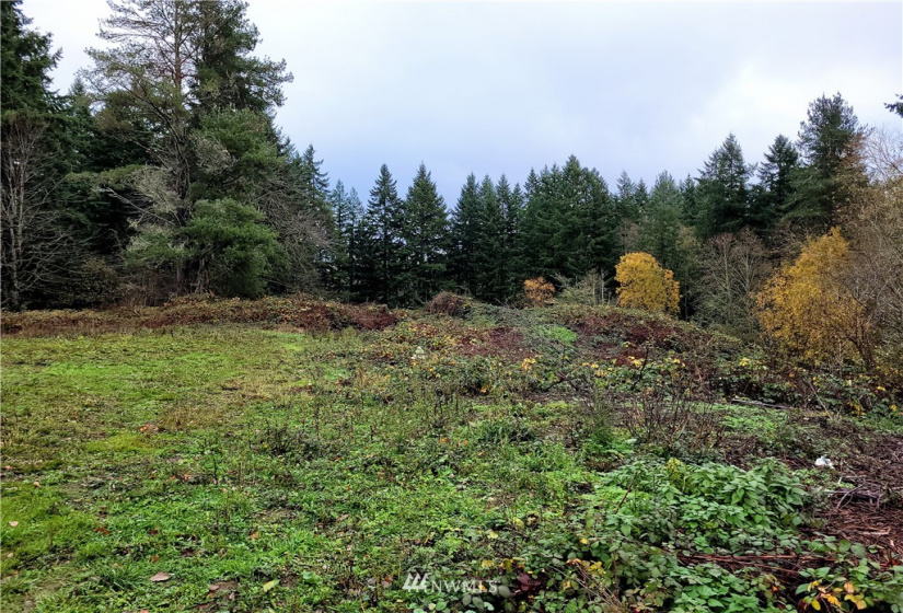 0 Woods, Port Orchard, Washington 98366, ,Land,For Sale,2021-0361,Woods,NWM1866917