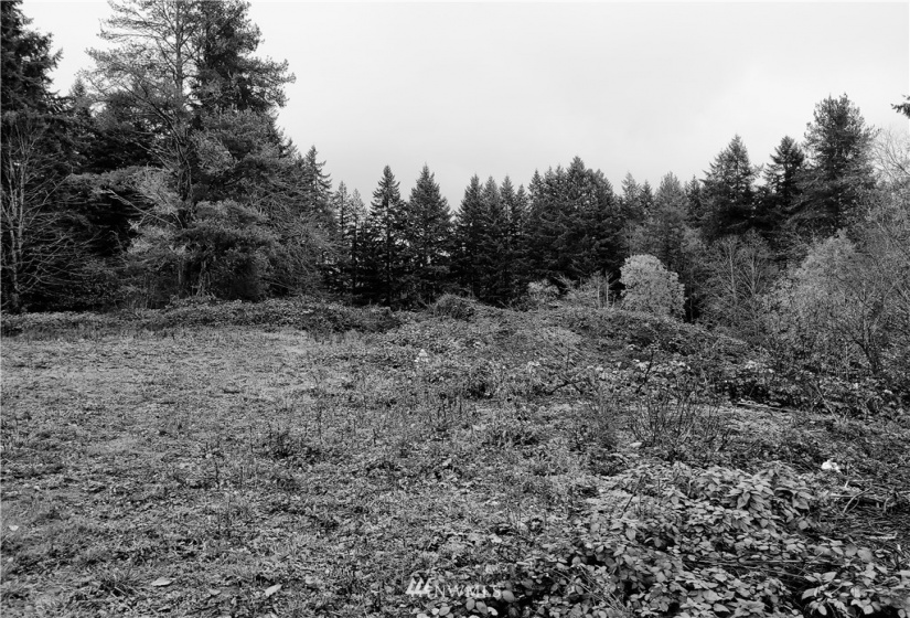 0 Woods, Port Orchard, Washington 98366, ,Land,For Sale,2021-0361,Woods,NWM1866917