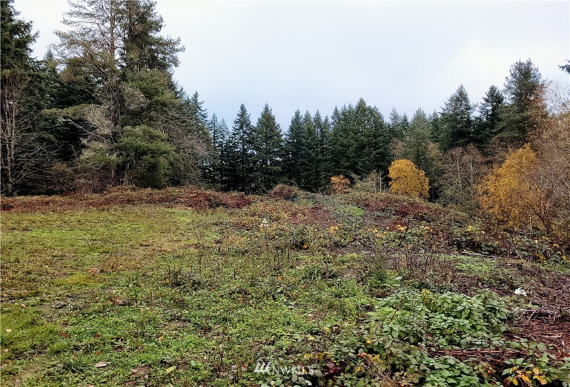 0 Woods, Port Orchard, Washington 98366, ,Land,For Sale,2021-0361,Woods,NWM1866917
