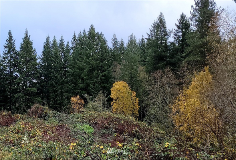 0 Woods, Port Orchard, Washington 98366, ,Land,For Sale,2021-0361,Woods,NWM1866917