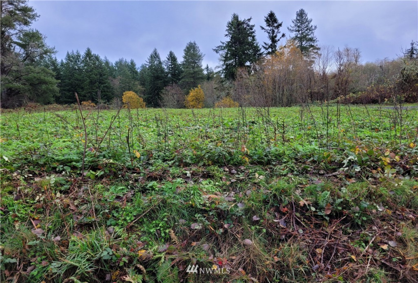 0 Woods, Port Orchard, Washington 98366, ,Land,For Sale,2021-0361,Woods,NWM1866917