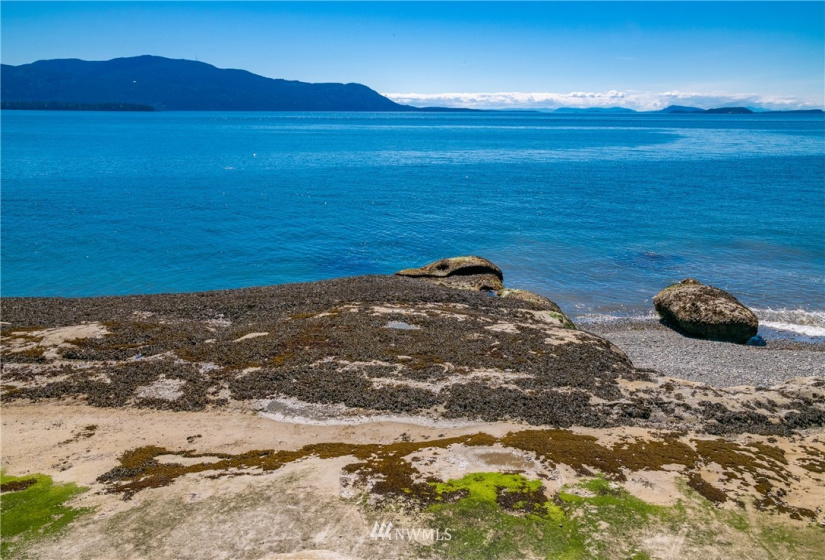 0 W Shore Dr, Lummi Island, Washington 98262, ,Land,For Sale,W Shore Dr,NWM1866705