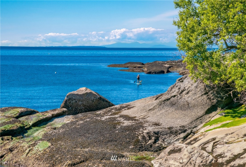 0 W Shore Dr, Lummi Island, Washington 98262, ,Land,For Sale,W Shore Dr,NWM1866705
