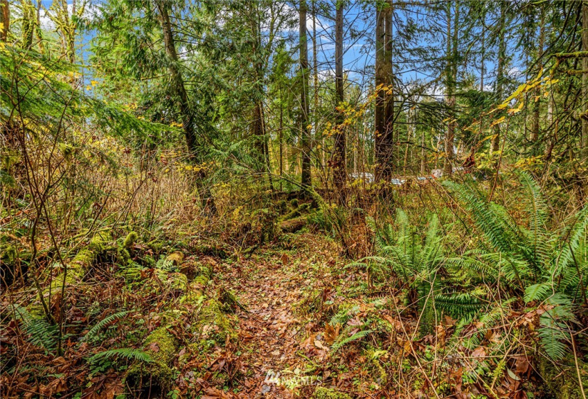 13323 Jordan Trails Rd, Arlington, Washington 98223, ,Land,For Sale,Jordan Trails Rd,NWM1867211