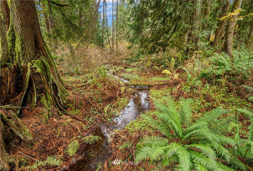 13323 Jordan Trails Rd, Arlington, Washington 98223, ,Land,For Sale,Jordan Trails Rd,NWM1867211