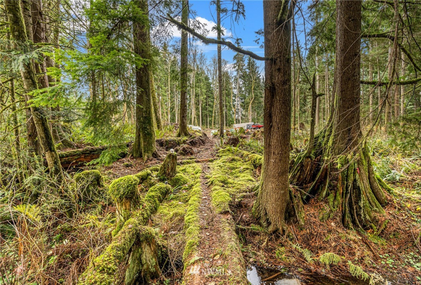 13323 Jordan Trails Rd, Arlington, Washington 98223, ,Land,For Sale,Jordan Trails Rd,NWM1867211