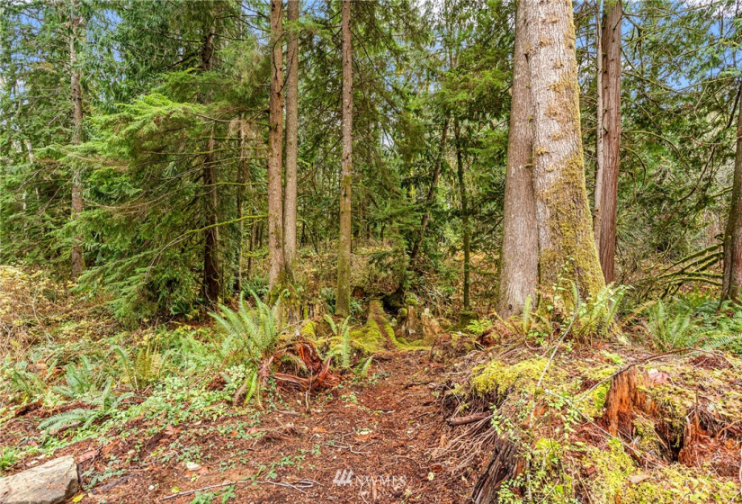 13323 Jordan Trails Rd, Arlington, Washington 98223, ,Land,For Sale,Jordan Trails Rd,NWM1867211