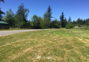 336 XX 309th, Ravensdale, Washington 98051, ,Land,For Sale,309th,NWM1867494