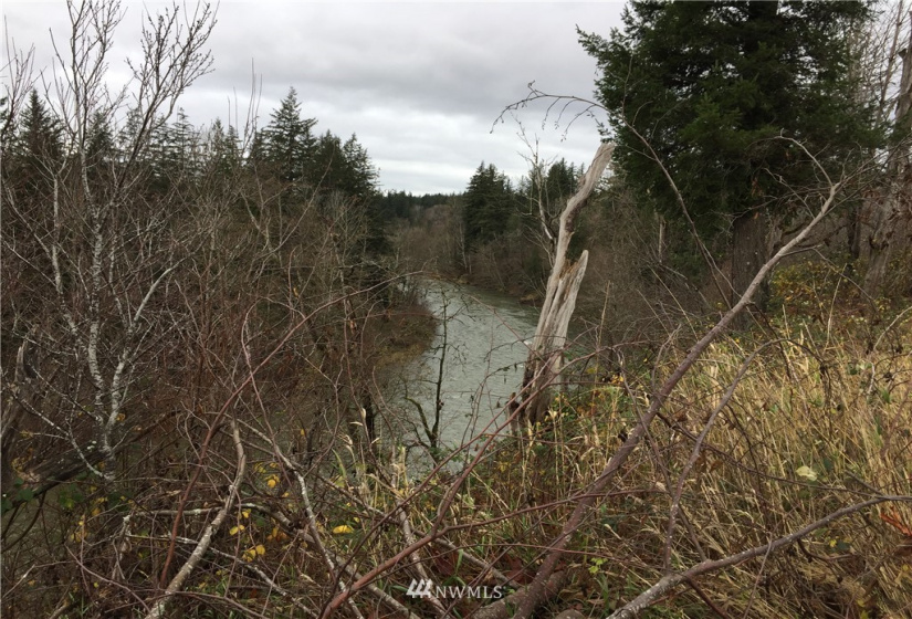 336 XX 309th, Ravensdale, Washington 98051, ,Land,For Sale,309th,NWM1867494