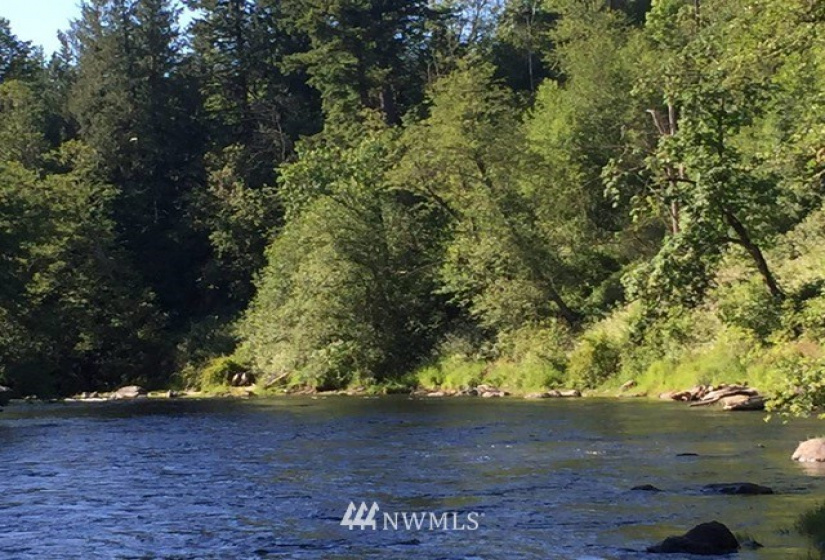 336 XX 309th, Ravensdale, Washington 98051, ,Land,For Sale,309th,NWM1867494