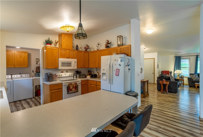 166 Capitol Ridge, Oakville, Washington 98568, 3 Bedrooms Bedrooms, ,2 BathroomsBathrooms,Residential,For Sale,Capitol Ridge,NWM1867287